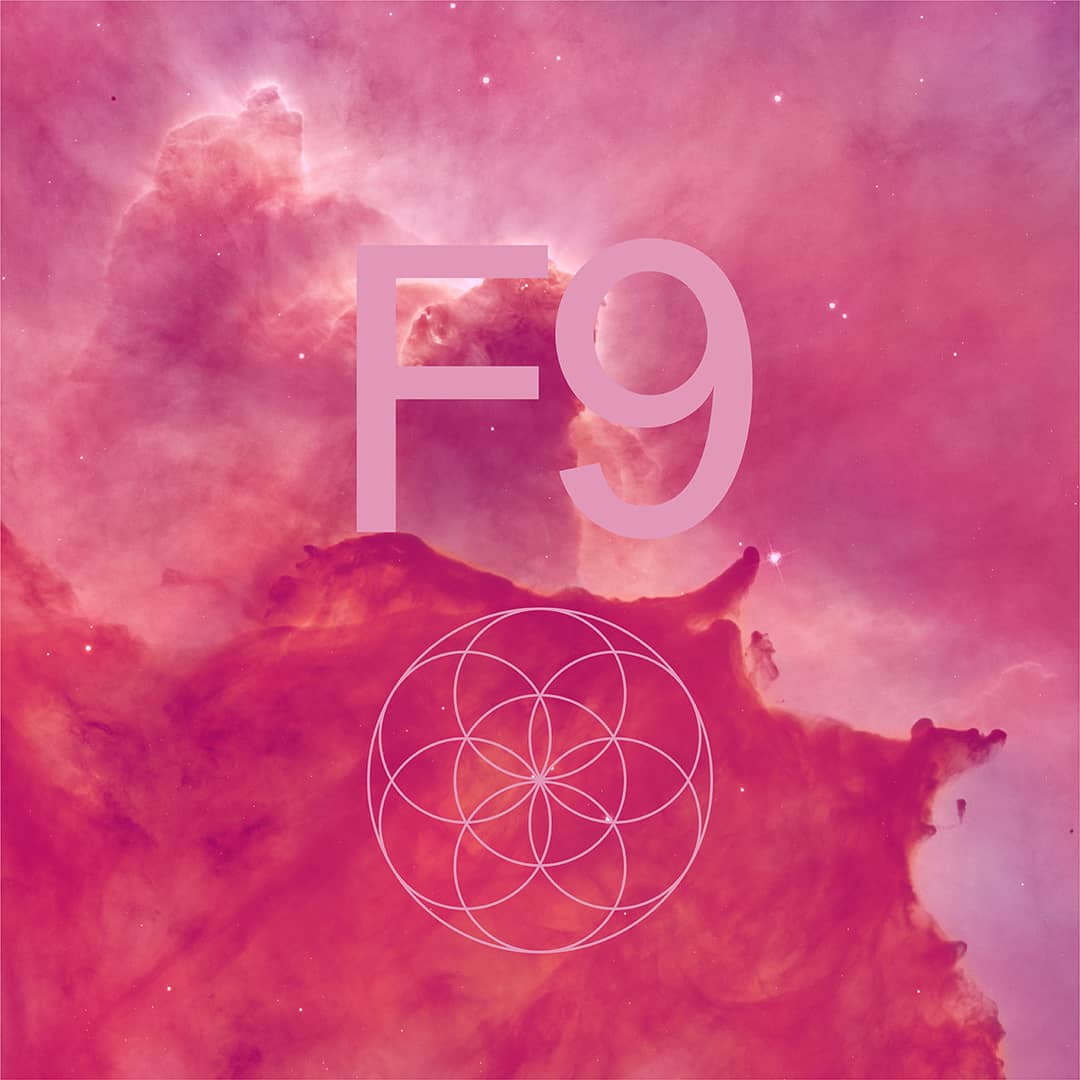background pattern with "F9"